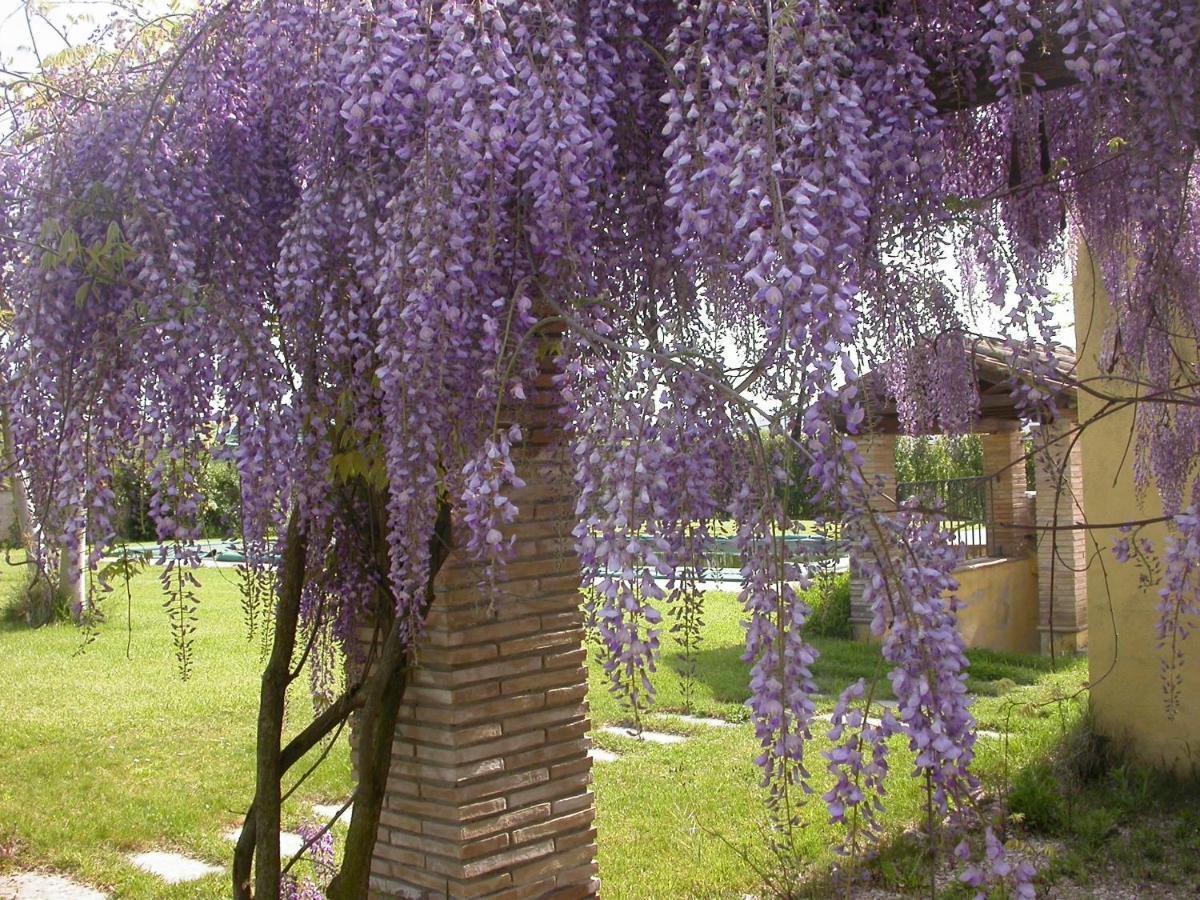 Casavacanze Sant'Eugenia Attigliano Exteriör bild