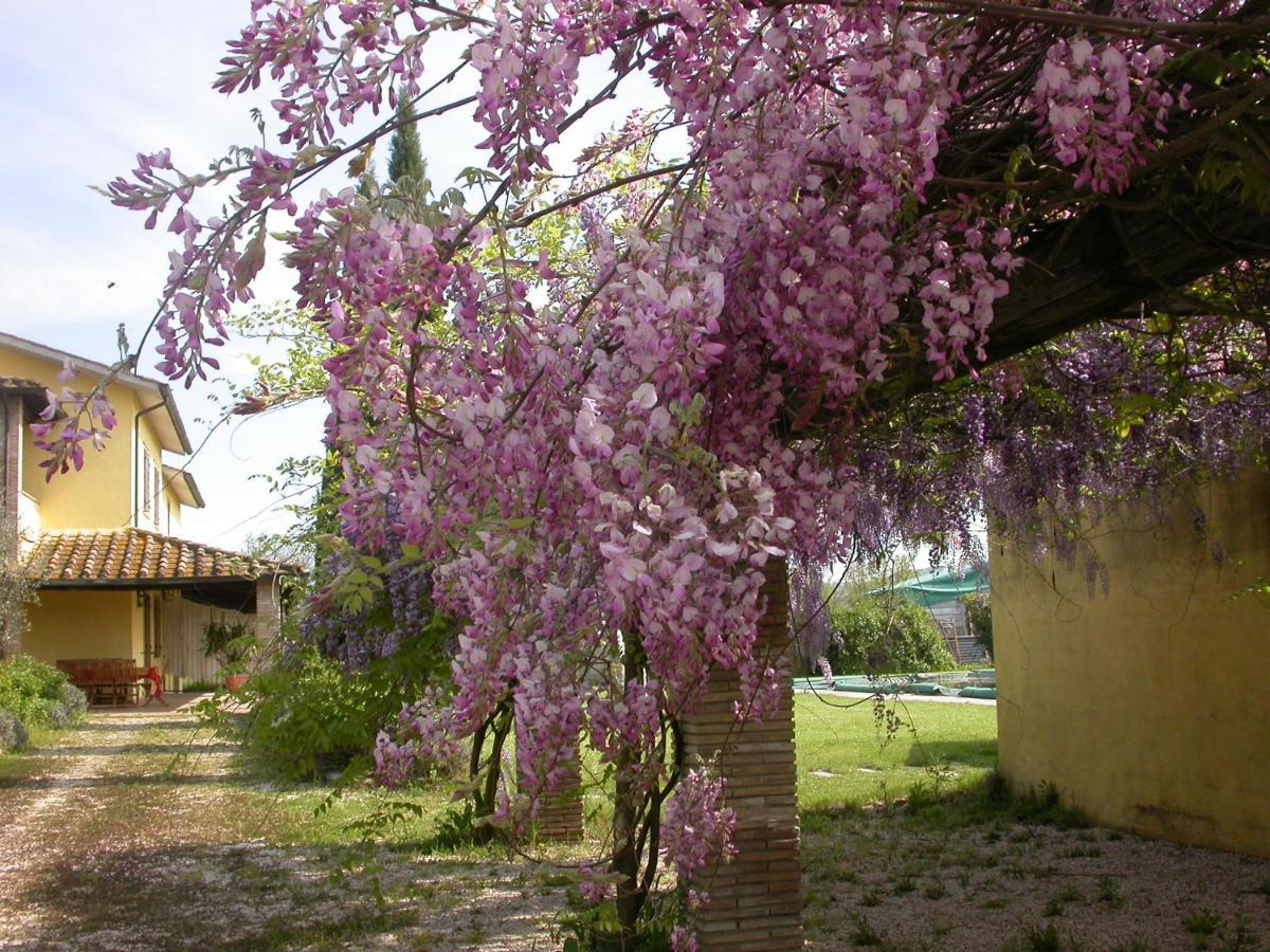 Casavacanze Sant'Eugenia Attigliano Exteriör bild